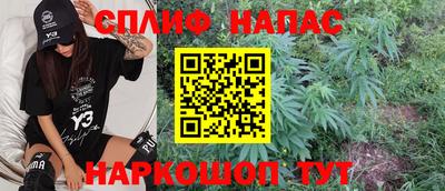 сатива Кунгур
