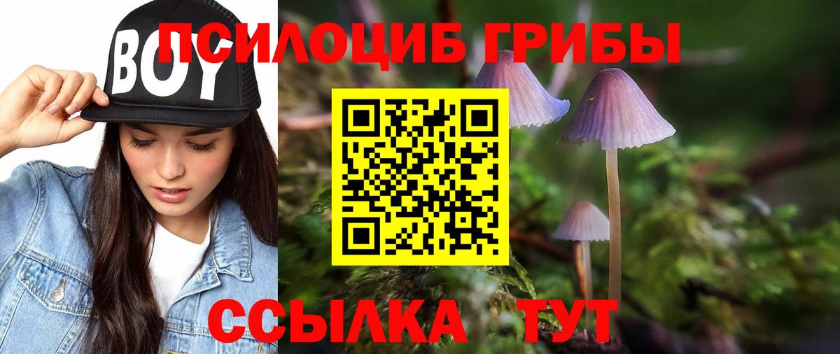 Галлюциногенные грибы MAGIC MUSHROOMS  Вход с VPN  Избербаш 